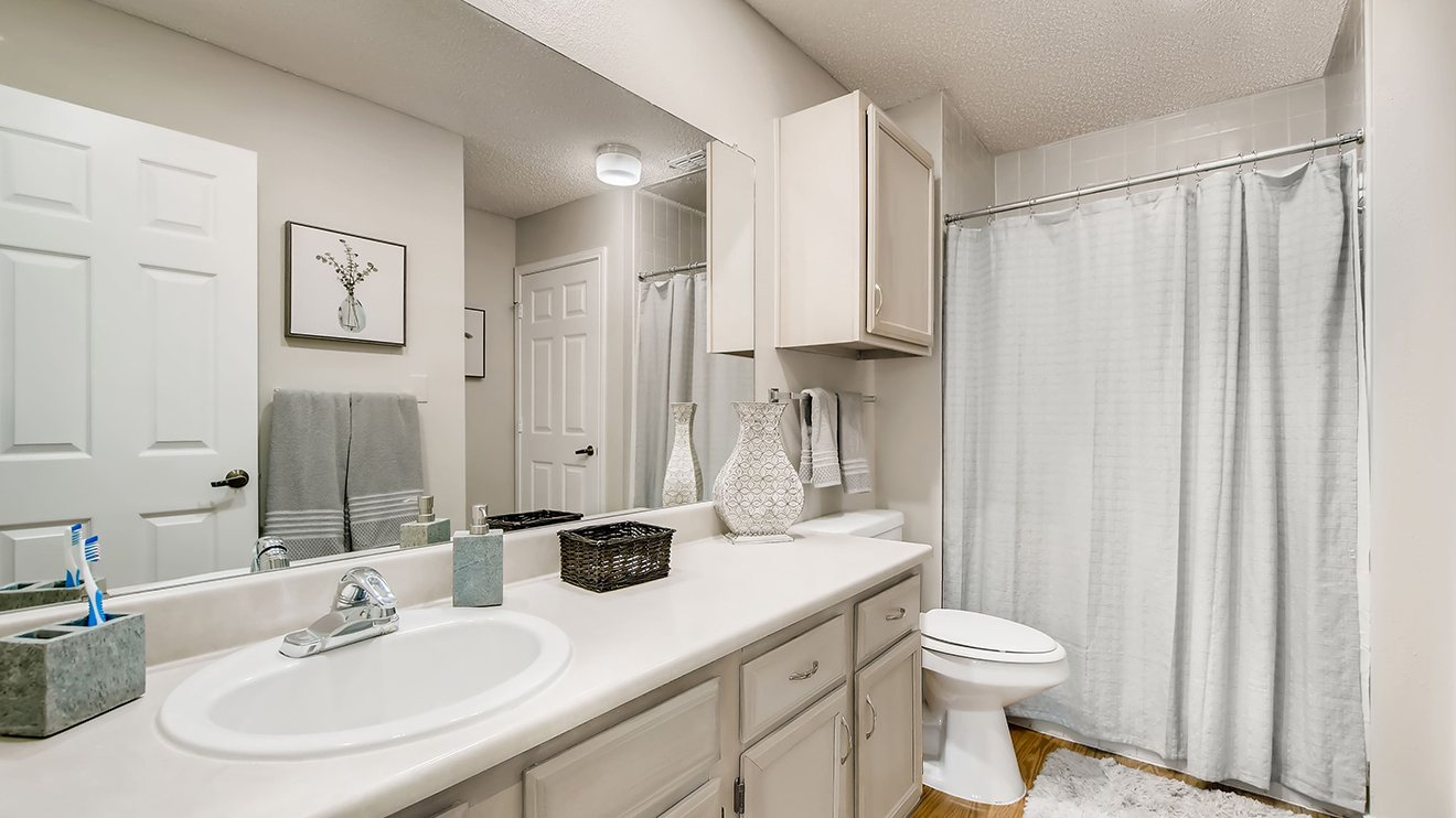 apartment bathroom with spacious vanity and walk in shower