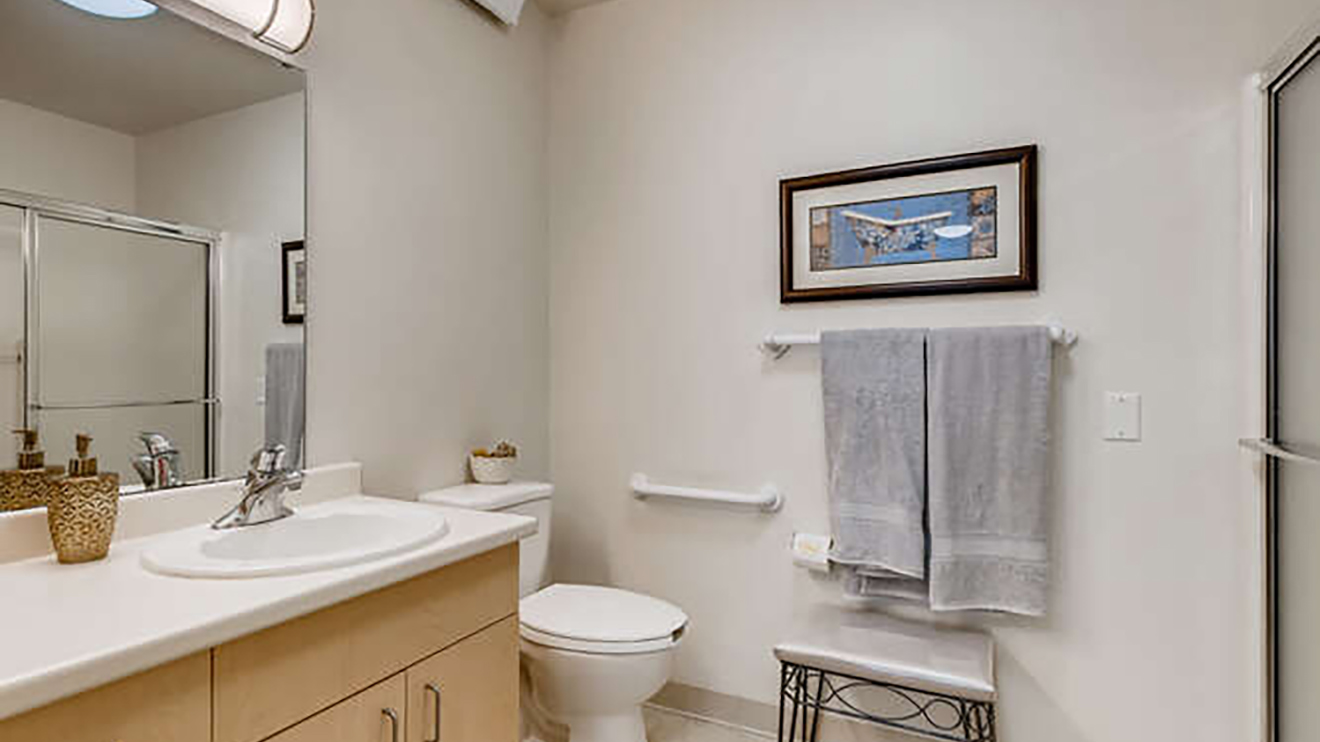 Holiday Tremont retirement home bathroom with shower, mirrored vanity and toilet with grab bar.